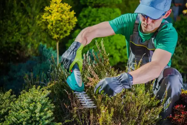 landscaping services Isola